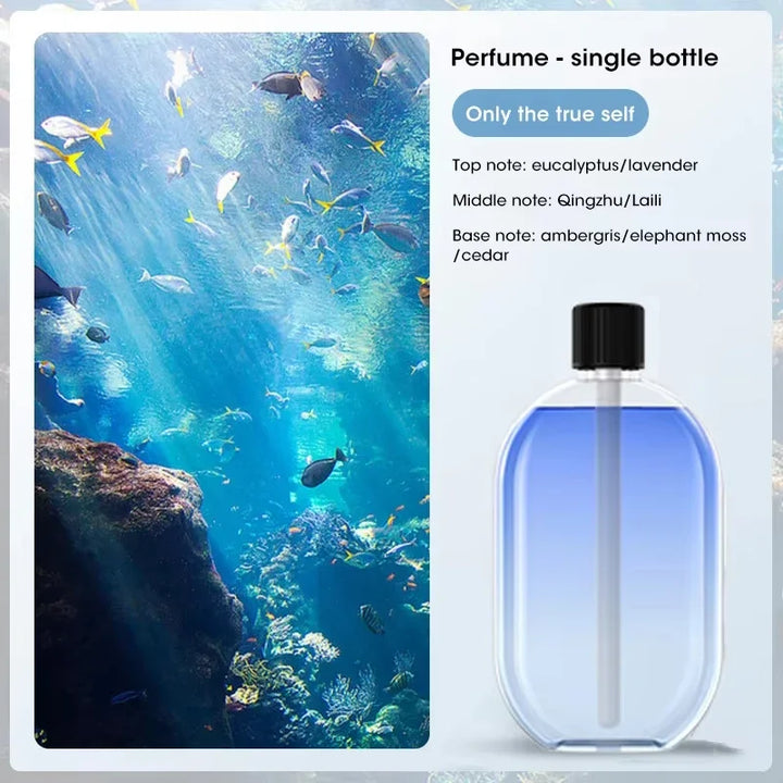 Automatic Fragrance Machine Perfume Scent Machine Essential Oil Diffuser Nebulizer for Kitchen and Toilet Home Deodorization